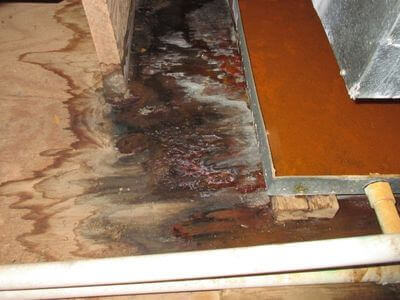 About HomeRiseX - water damage restoration experts in Columbia
